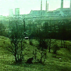 Helmynthe - кевларовые полотна _darkitalia