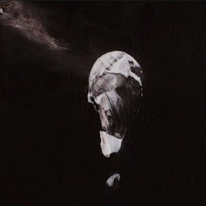 13029536_540528416149878_3478750548886044995_o