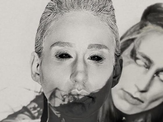 Bestial Mouths - INSHROUDSS