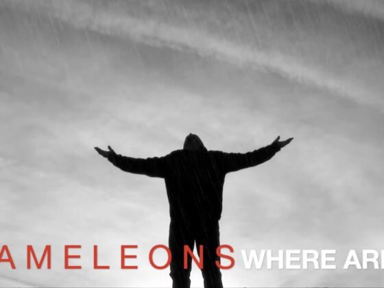 The Chameleons - Where are you